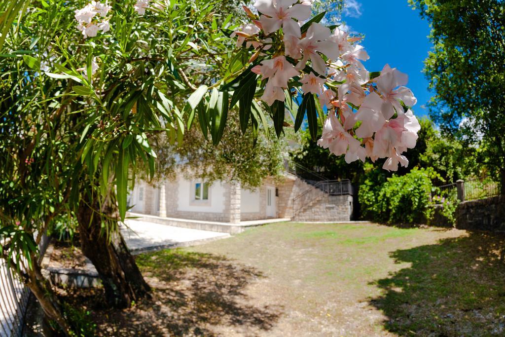 Olive Tree Villa Herceg Novi Luaran gambar